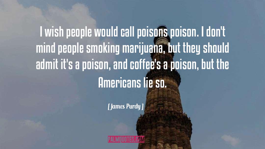 Marijuana quotes by James Purdy