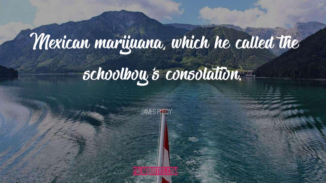 Marijuana quotes by James Purdy