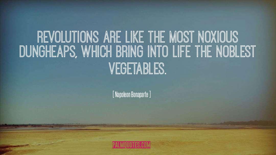 Marinated Vegetables quotes by Napoleon Bonaparte