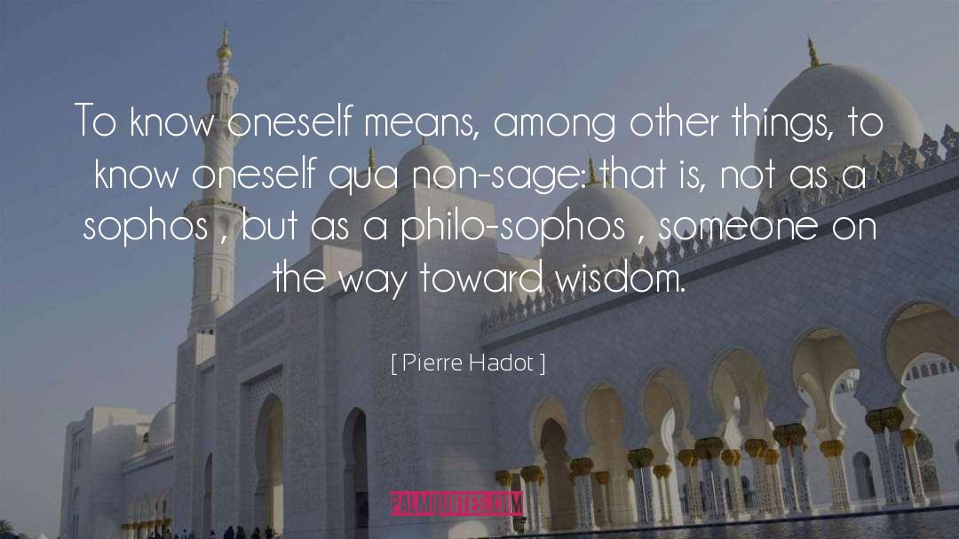 Marinating Oneself quotes by Pierre Hadot