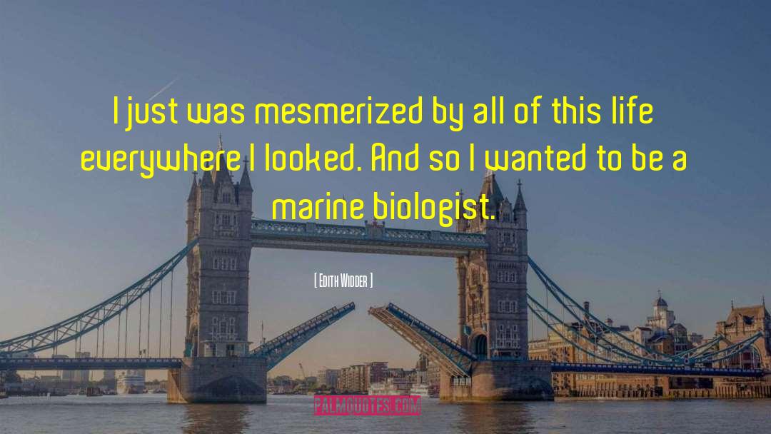 Marine Biologist quotes by Edith Widder
