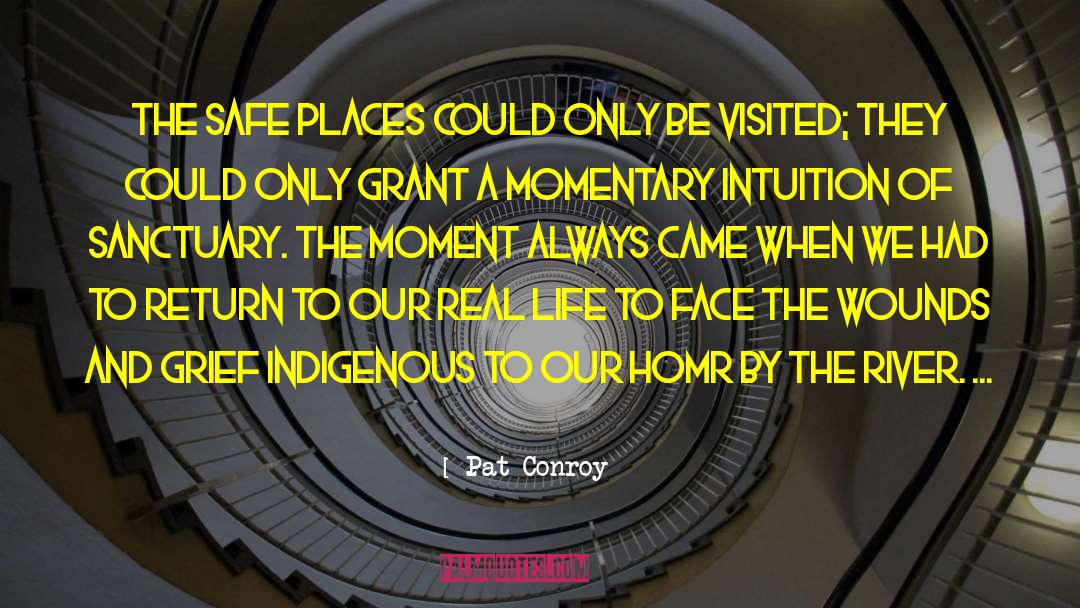 Marine Life quotes by Pat Conroy