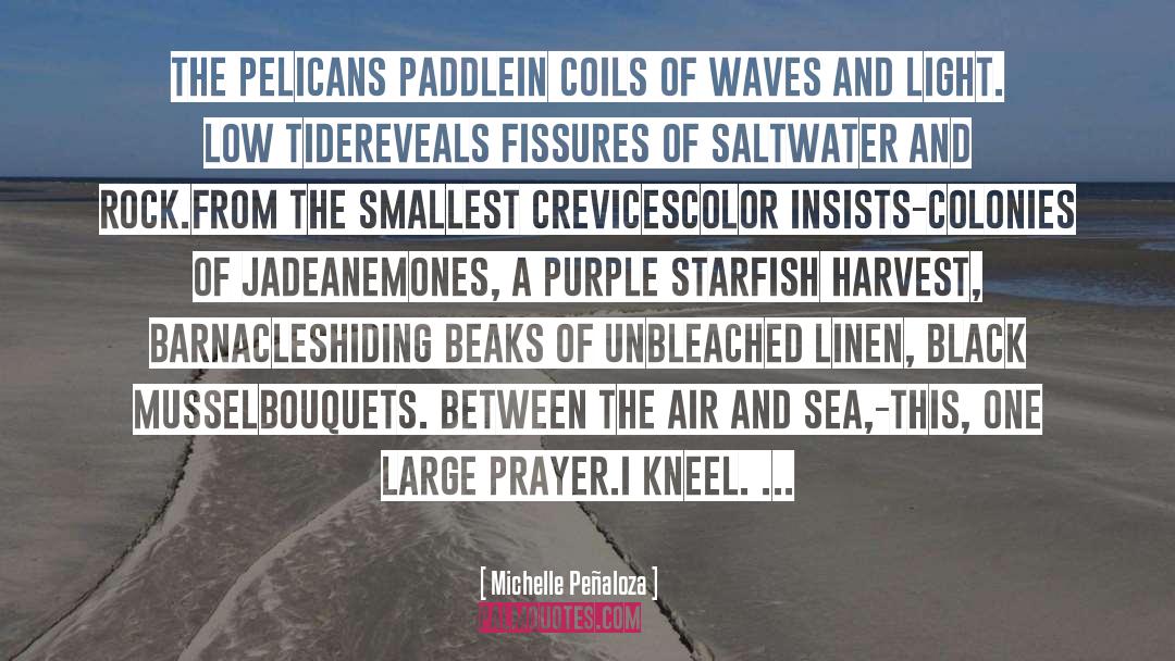 Marine Life quotes by Michelle Peñaloza