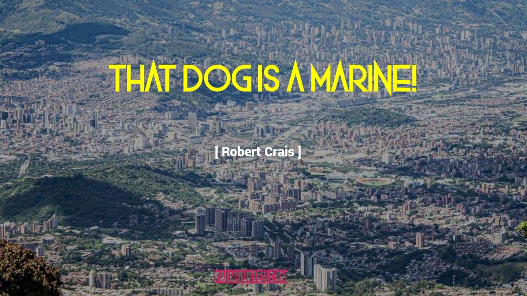 Marine quotes by Robert Crais