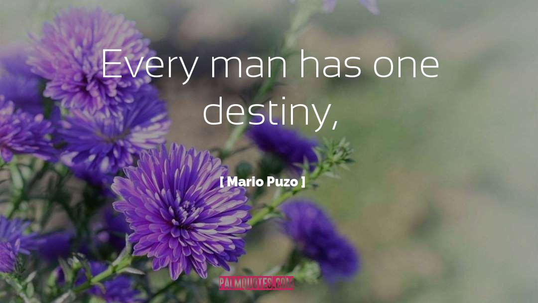 Mario quotes by Mario Puzo