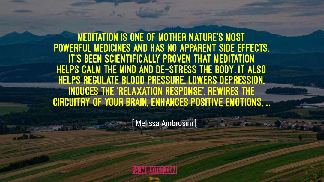 Marital Satisfaction quotes by Melissa Ambrosini