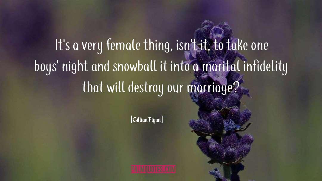 Marital Wars quotes by Gillian Flynn