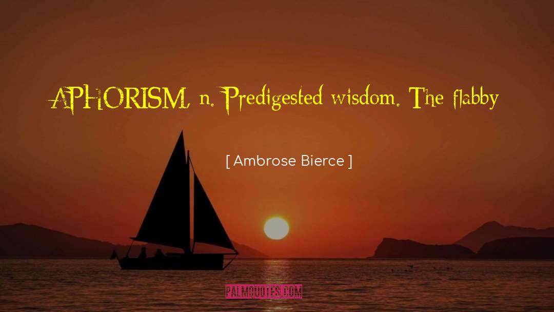 Marjolin Skin quotes by Ambrose Bierce
