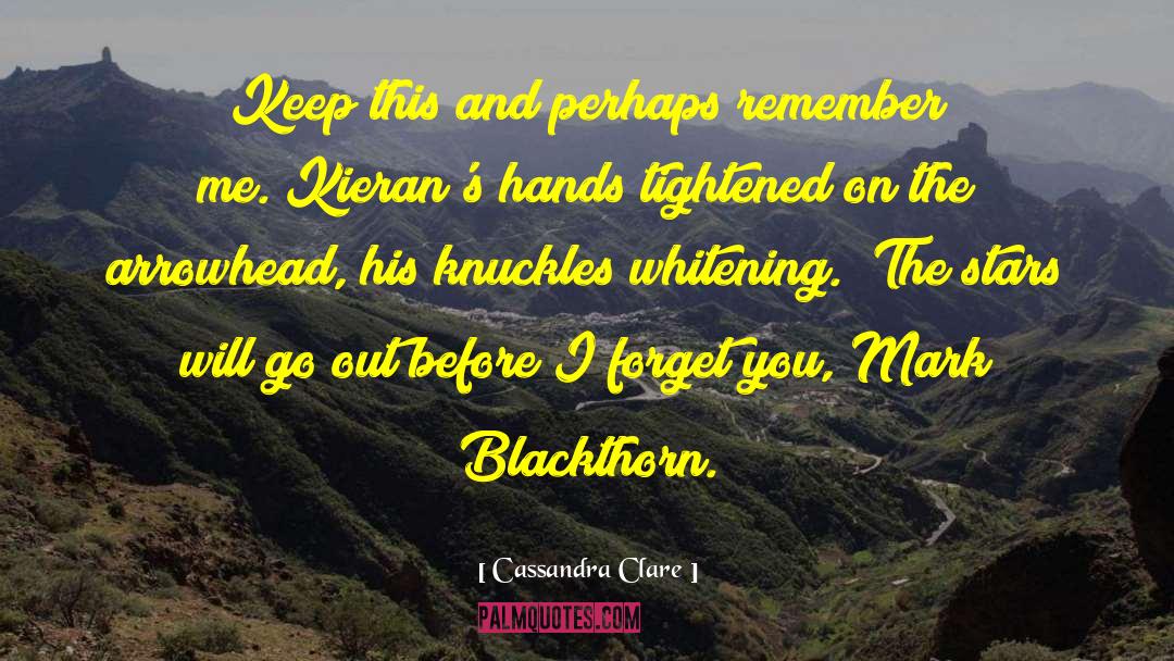 Mark Blackthorn quotes by Cassandra Clare