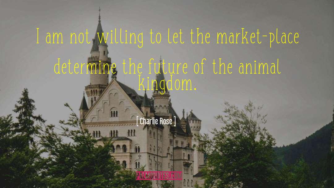 Market Place quotes by Charlie Rose