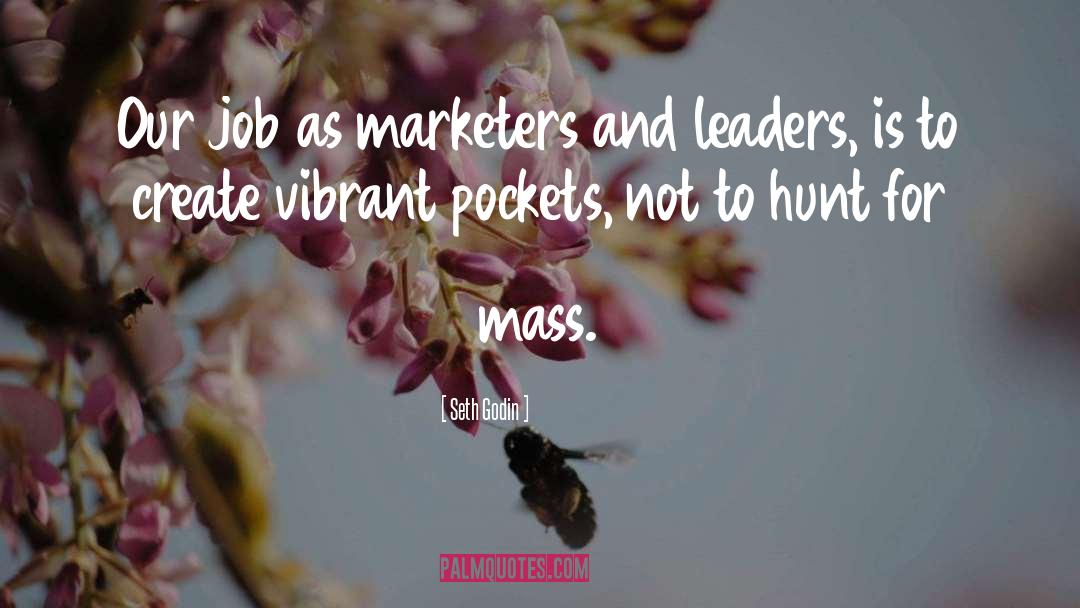 Marketers quotes by Seth Godin