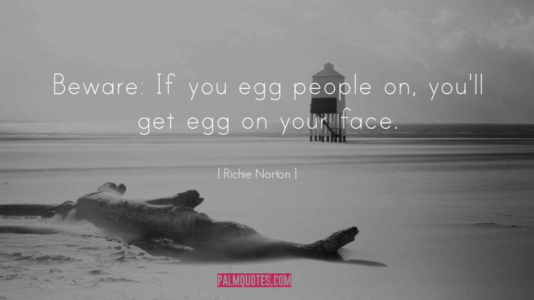 Marketing Campaigns quotes by Richie Norton