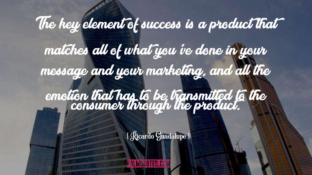 Marketing Consultant quotes by Ricardo Guadalupe