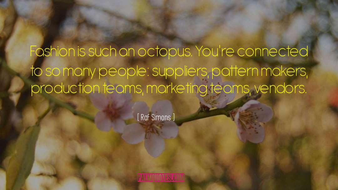 Marketing Strategy quotes by Raf Simons