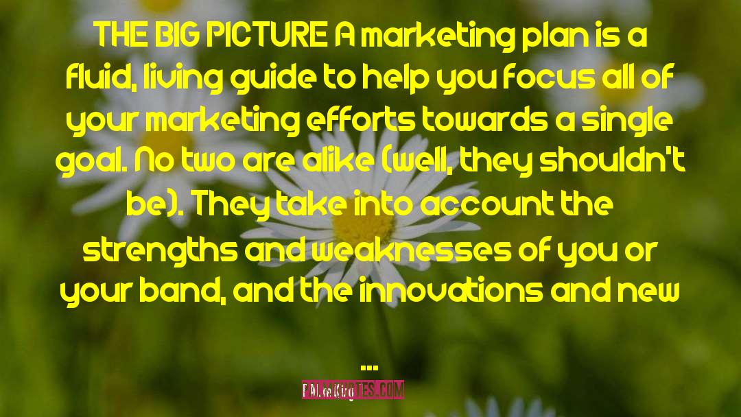 Marketing Strategy quotes by Mike King