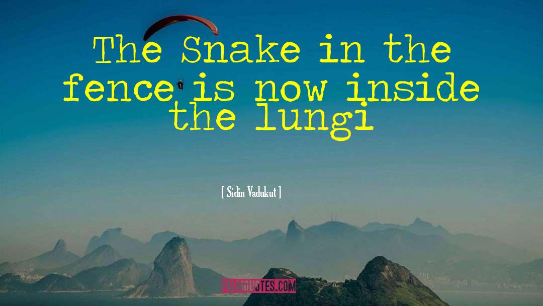 Markison Snake quotes by Sidin Vadukut