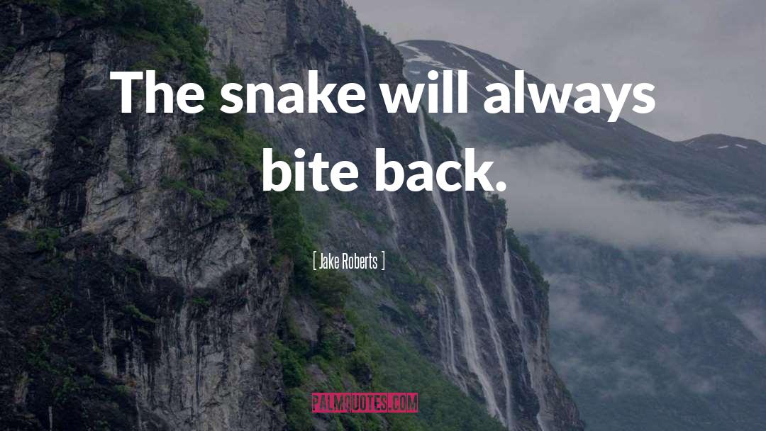 Markison Snake quotes by Jake Roberts