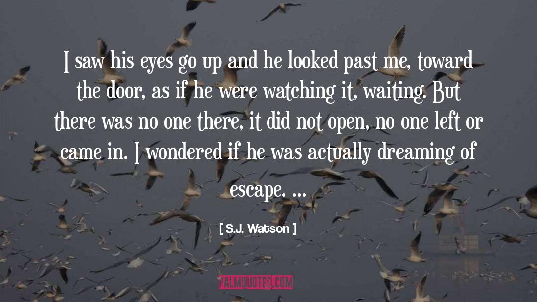 Marks Left quotes by S.J. Watson