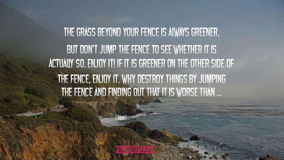 Marleau Fence quotes by Osho