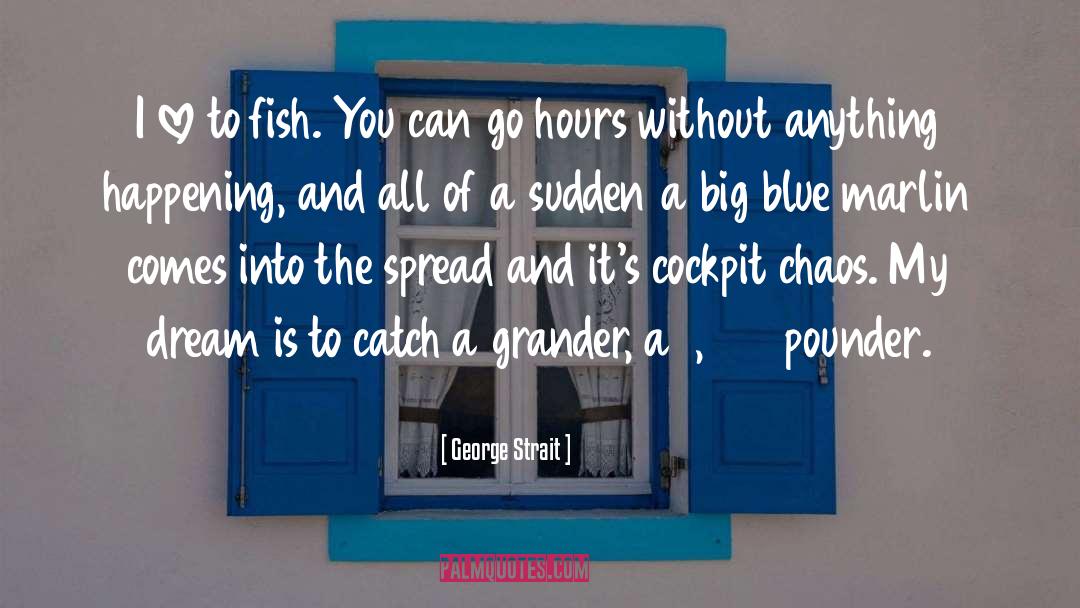 Marlin quotes by George Strait