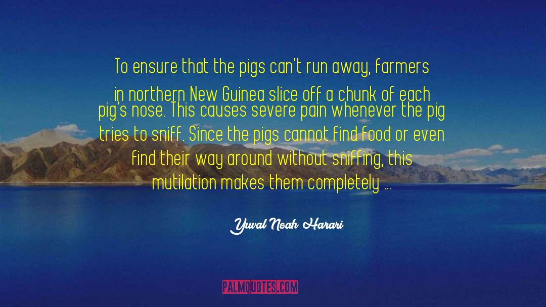 Marlowes Pig quotes by Yuval Noah Harari