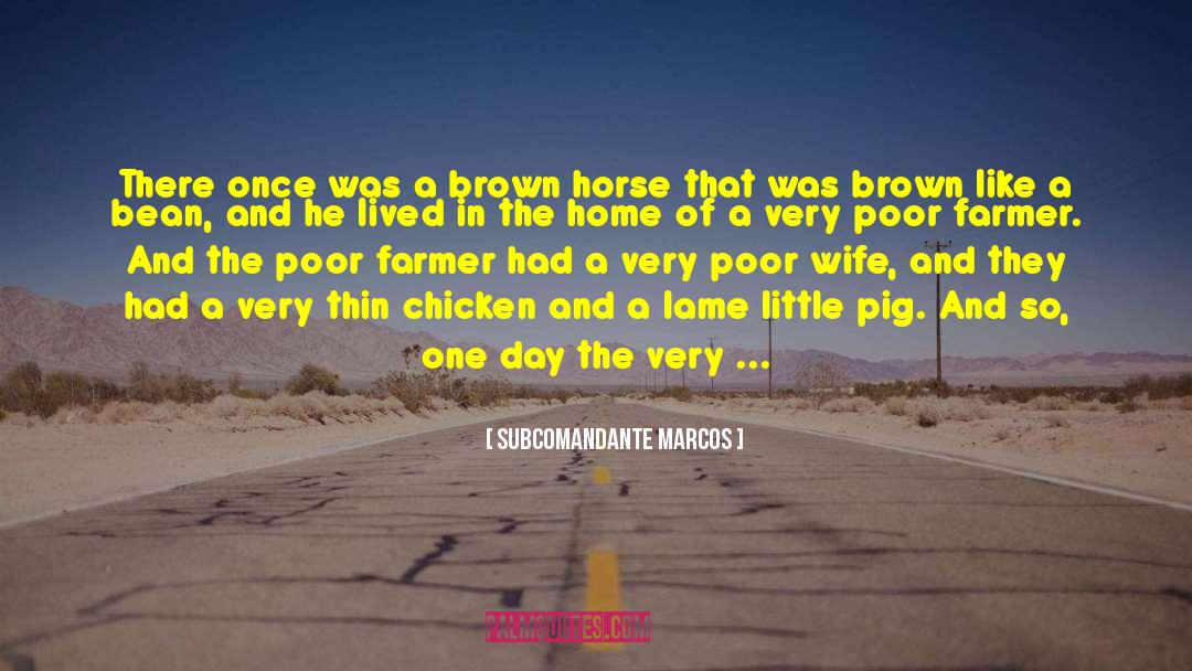 Marlowes Pig quotes by Subcomandante Marcos