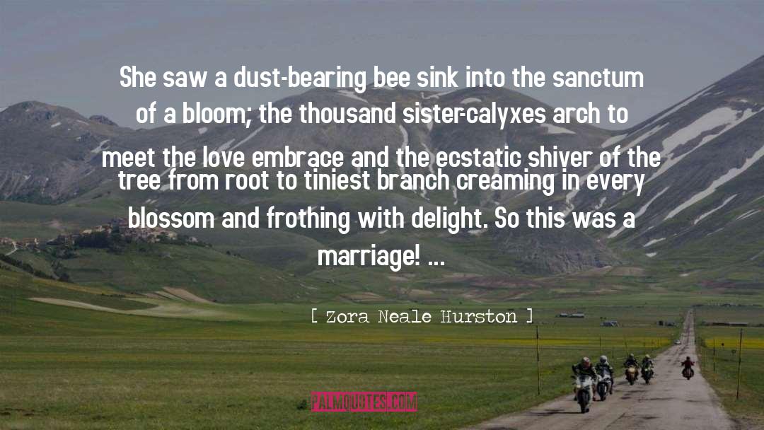 Marriage And Love From Famous quotes by Zora Neale Hurston