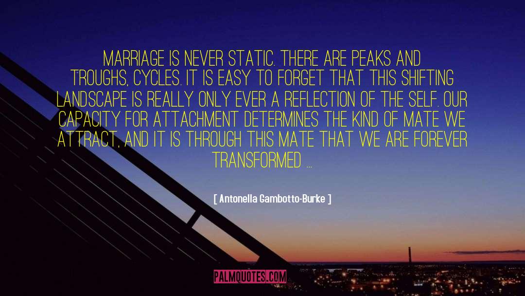 Marriage Bed quotes by Antonella Gambotto-Burke