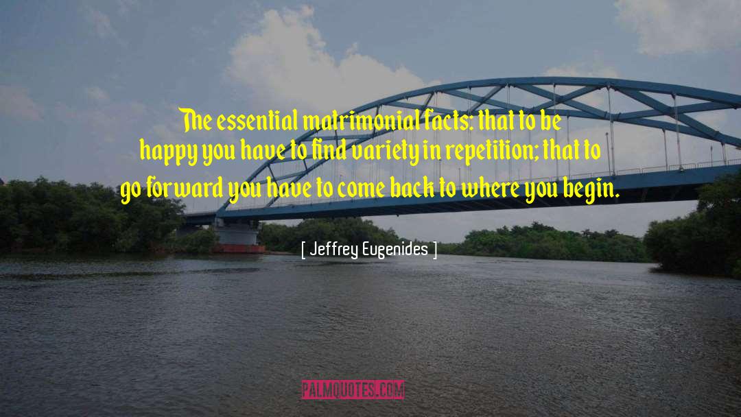 Marriage Critical quotes by Jeffrey Eugenides