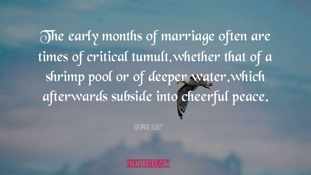 Marriage quotes by George Eliot