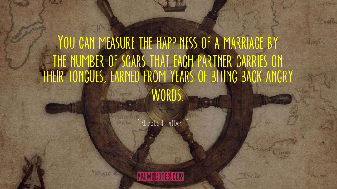 Marriage Relationships quotes by Elizabeth Gilbert