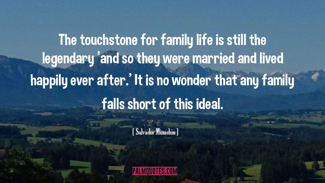 Married Life quotes by Salvador Minuchin