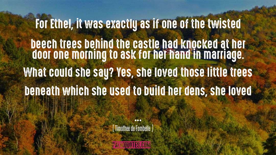 Marry quotes by Timothee De Fombelle