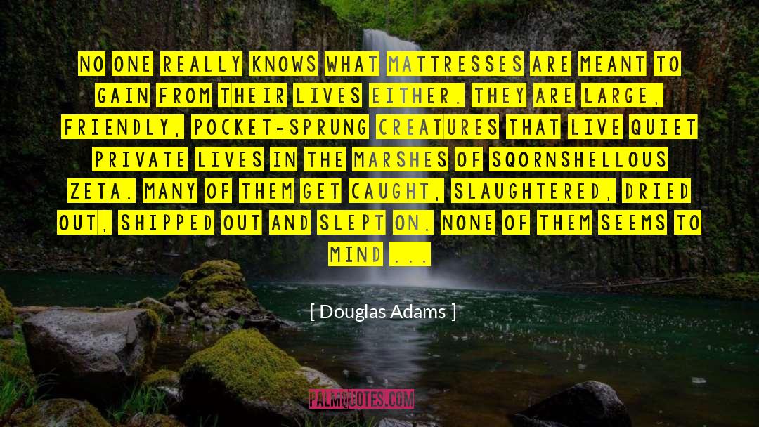 Marshes quotes by Douglas Adams