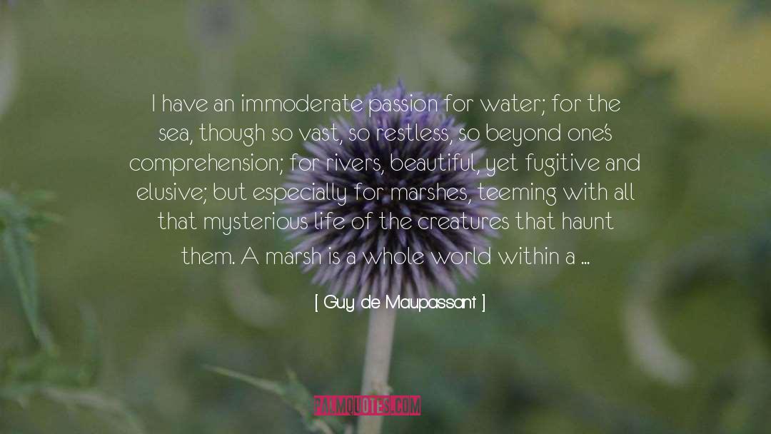 Marshes quotes by Guy De Maupassant