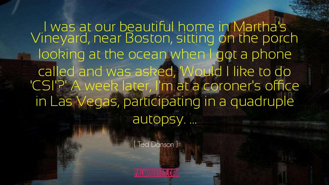 Marthas Vineyard Movie quotes by Ted Danson