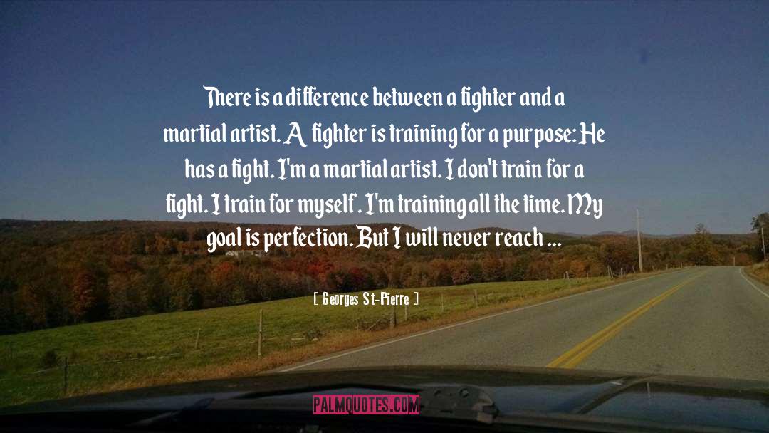 Martial Artist quotes by Georges St-Pierre