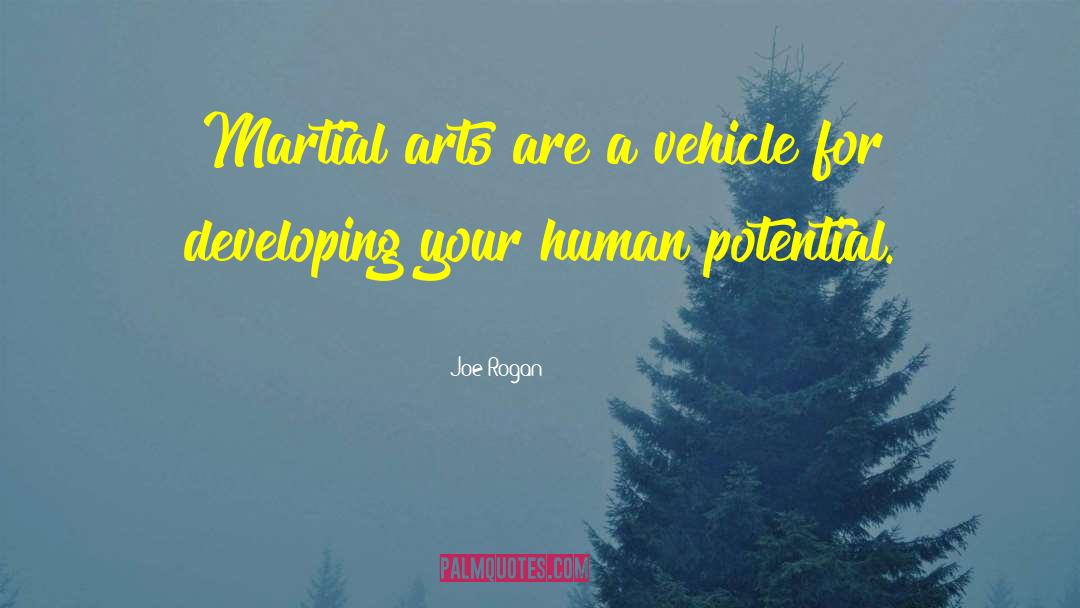 Martial Arts quotes by Joe Rogan