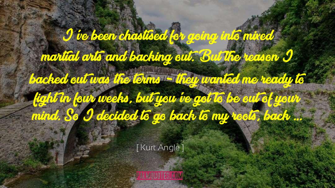 Martial Arts quotes by Kurt Angle