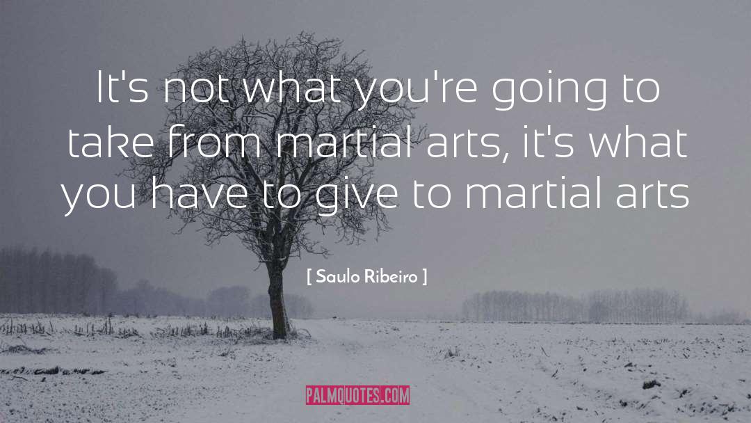 Martial Arts quotes by Saulo Ribeiro