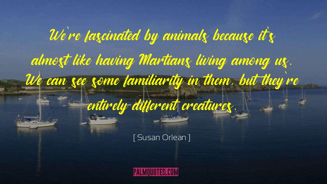 Martians quotes by Susan Orlean