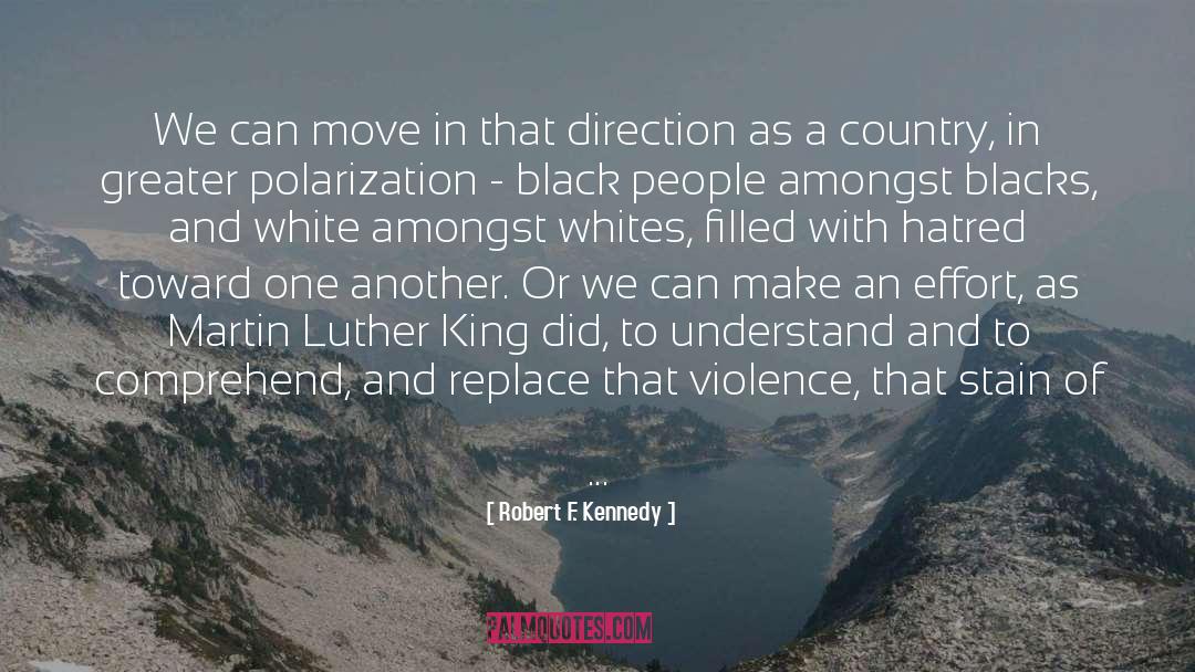 Martin Luther King quotes by Robert F. Kennedy