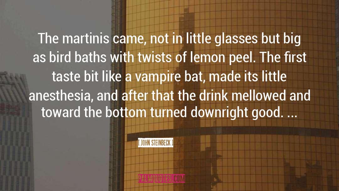 Martinis quotes by John Steinbeck
