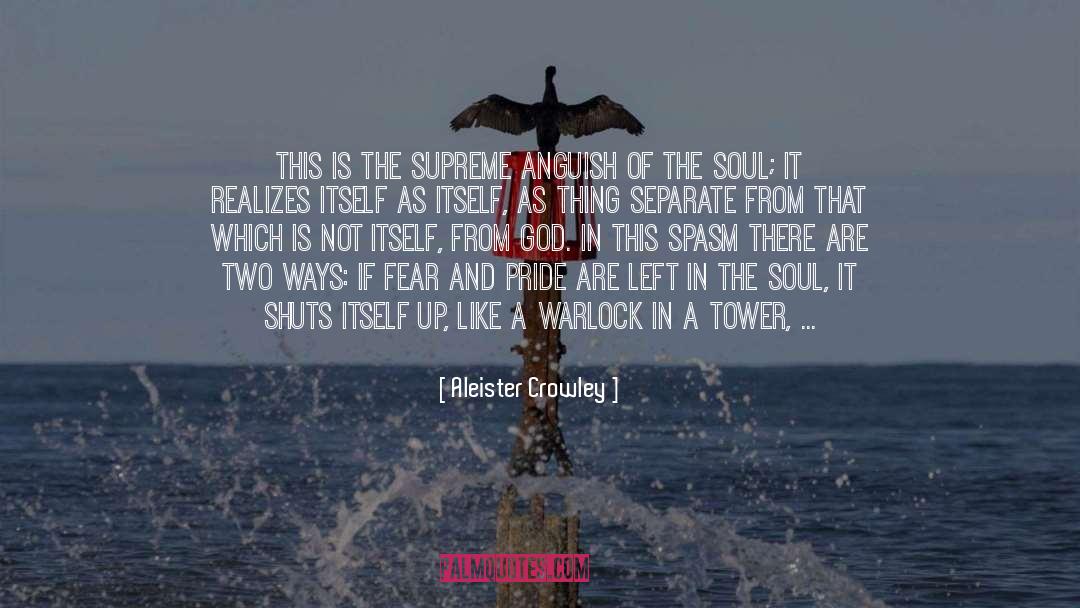 Martyrdom In Love quotes by Aleister Crowley