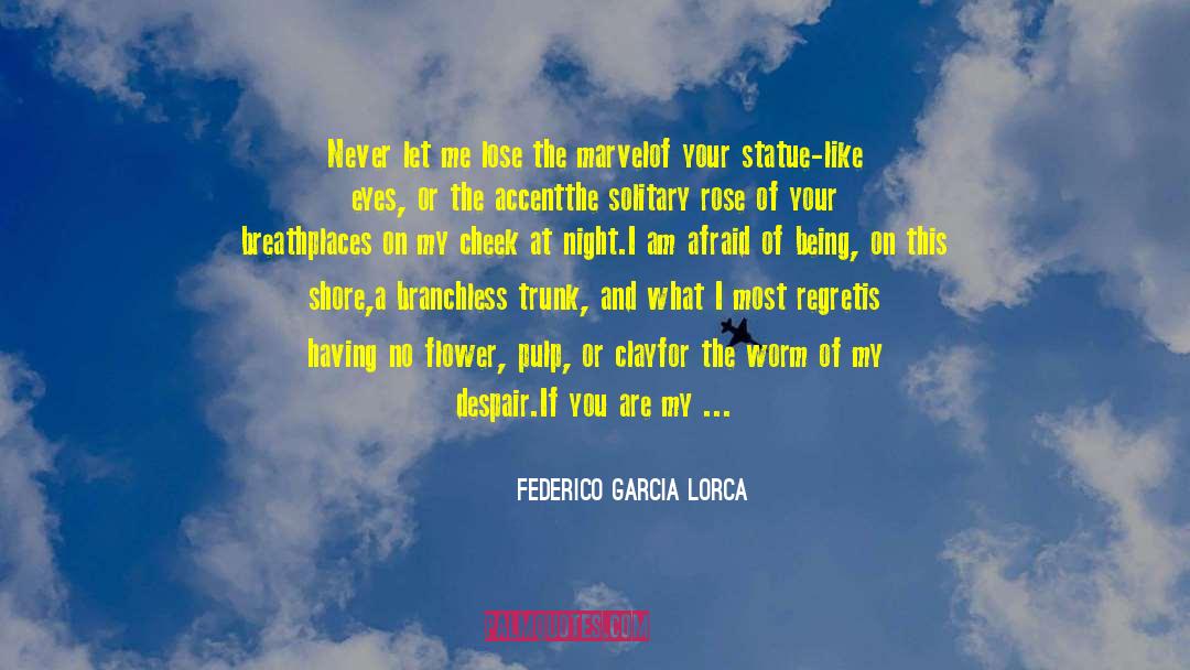 Marvel I Love You quotes by Federico Garcia Lorca