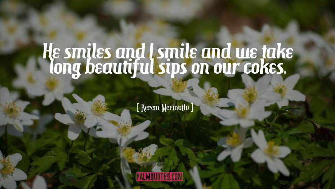 Marvelously Beautiful quotes by Kerem Mermutlu