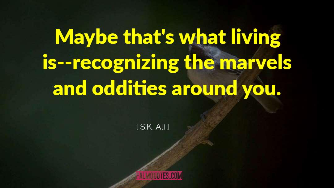 Marvels And Oddities quotes by S.K. Ali