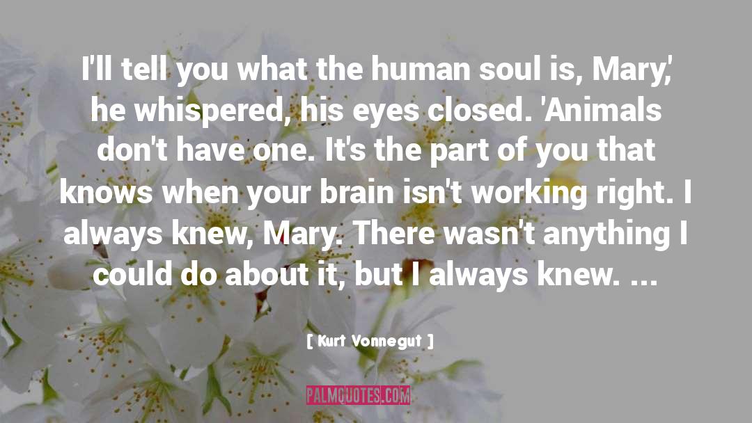 Mary Lennox quotes by Kurt Vonnegut