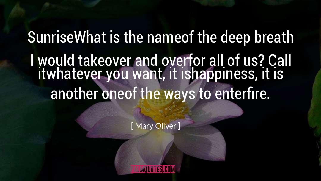 Mary Magdalene quotes by Mary Oliver