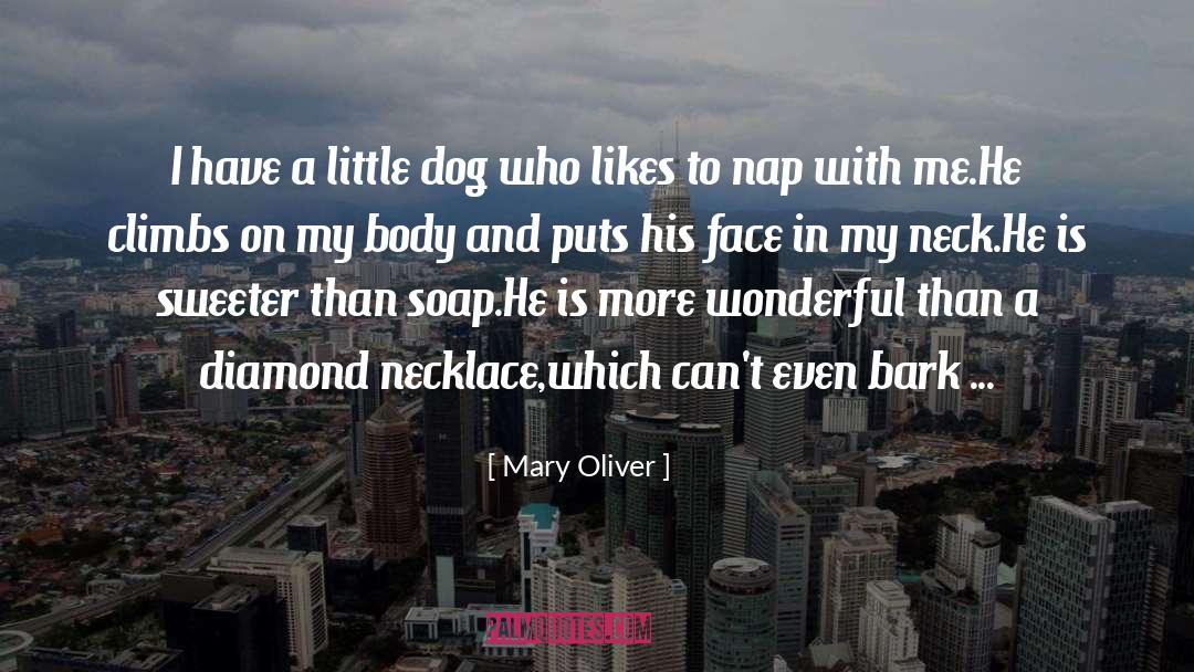 Mary Oliver quotes by Mary Oliver